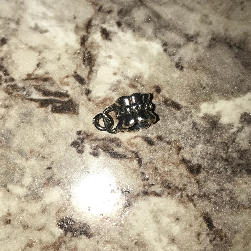 Pandora charm